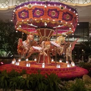 Meet your Posher, Peggy